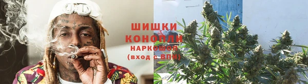 хмурый Алзамай