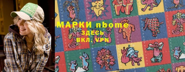 хмурый Алзамай