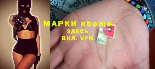 хмурый Алзамай