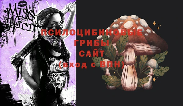 кокс Алексеевка