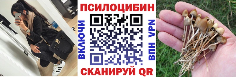 Псилоцибиновые грибы Psilocybe  Покров 